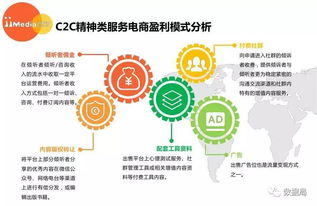 2017上半年中國(guó)精神類(lèi)服務(wù)電商市場(chǎng)研究報(bào)告 信息咨詢服務(wù)分析