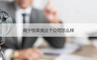 南寧悅萊美醫療器械公司 代理與銷售業務概述及薪資分析